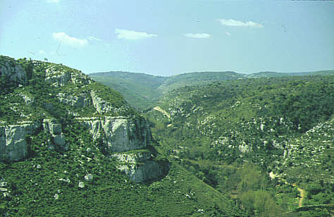 Fotogalerie: Frankreich, Gorges du ...
